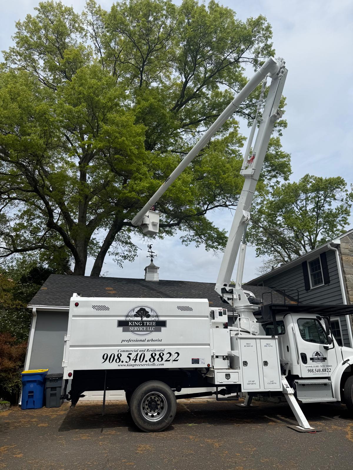 King Tree Service crew on the job in North Jersey