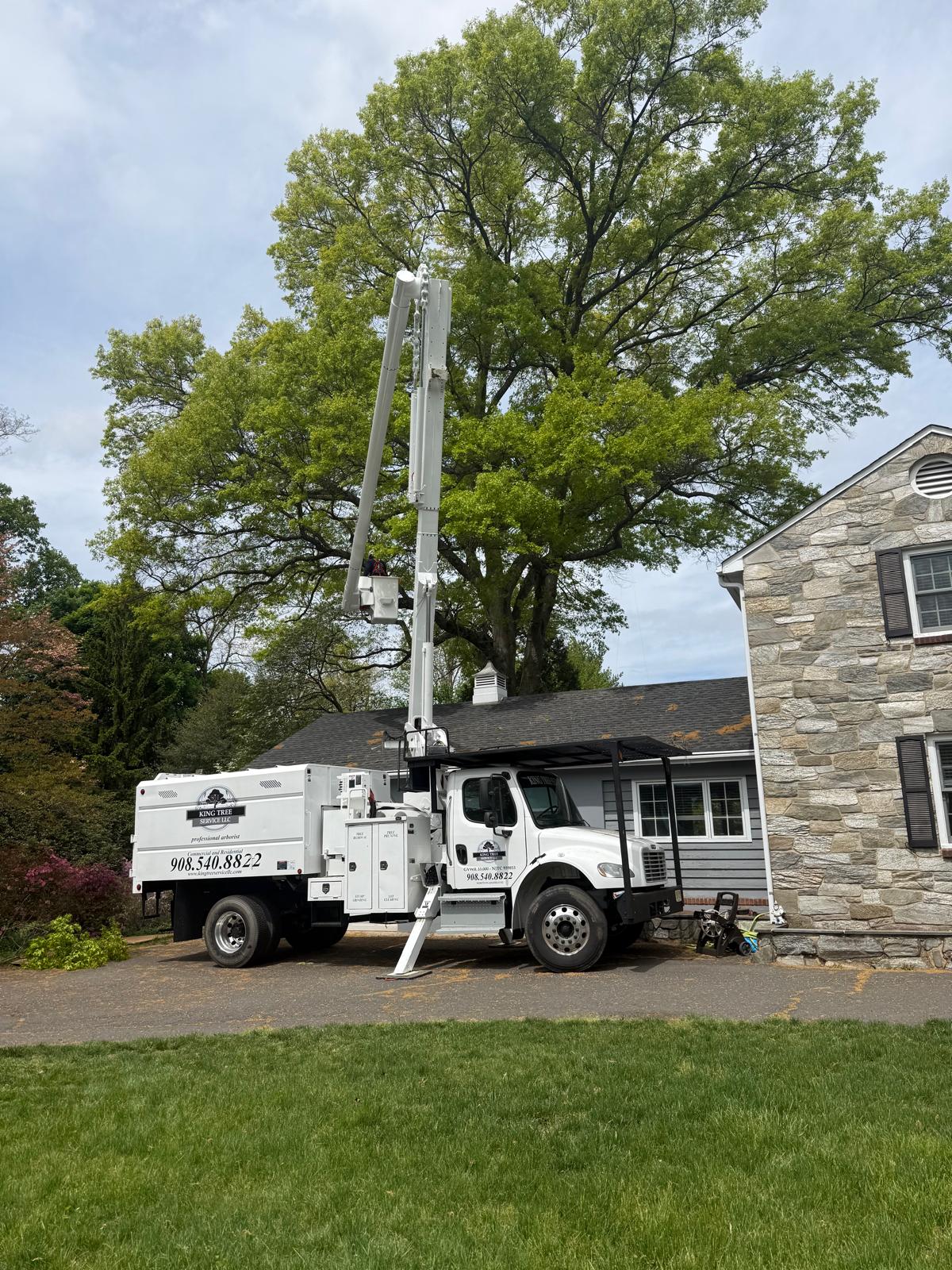 King Tree Service crew on the job in North Jersey