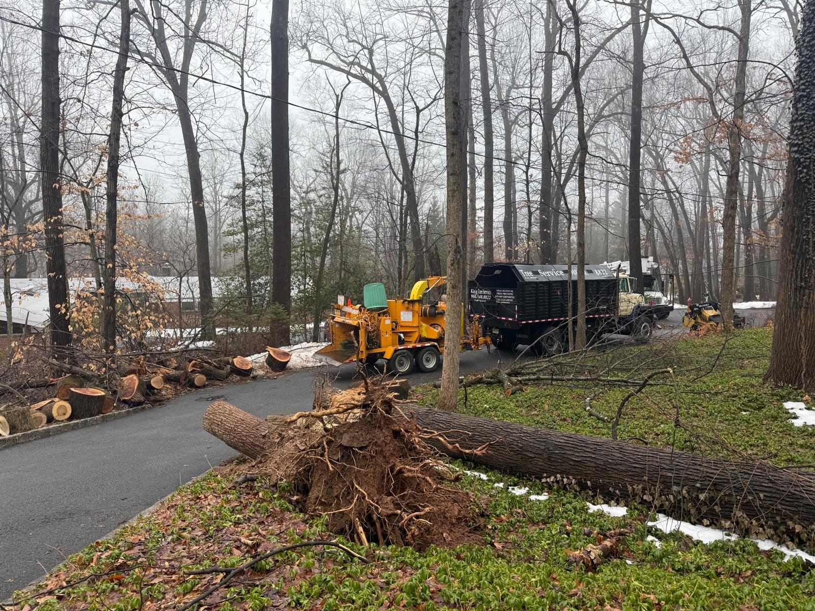 King Tree Service crew on the job in North Jersey