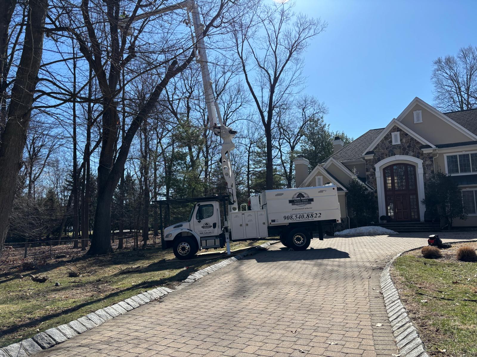 King Tree Service bucket truck at a North Jersey home