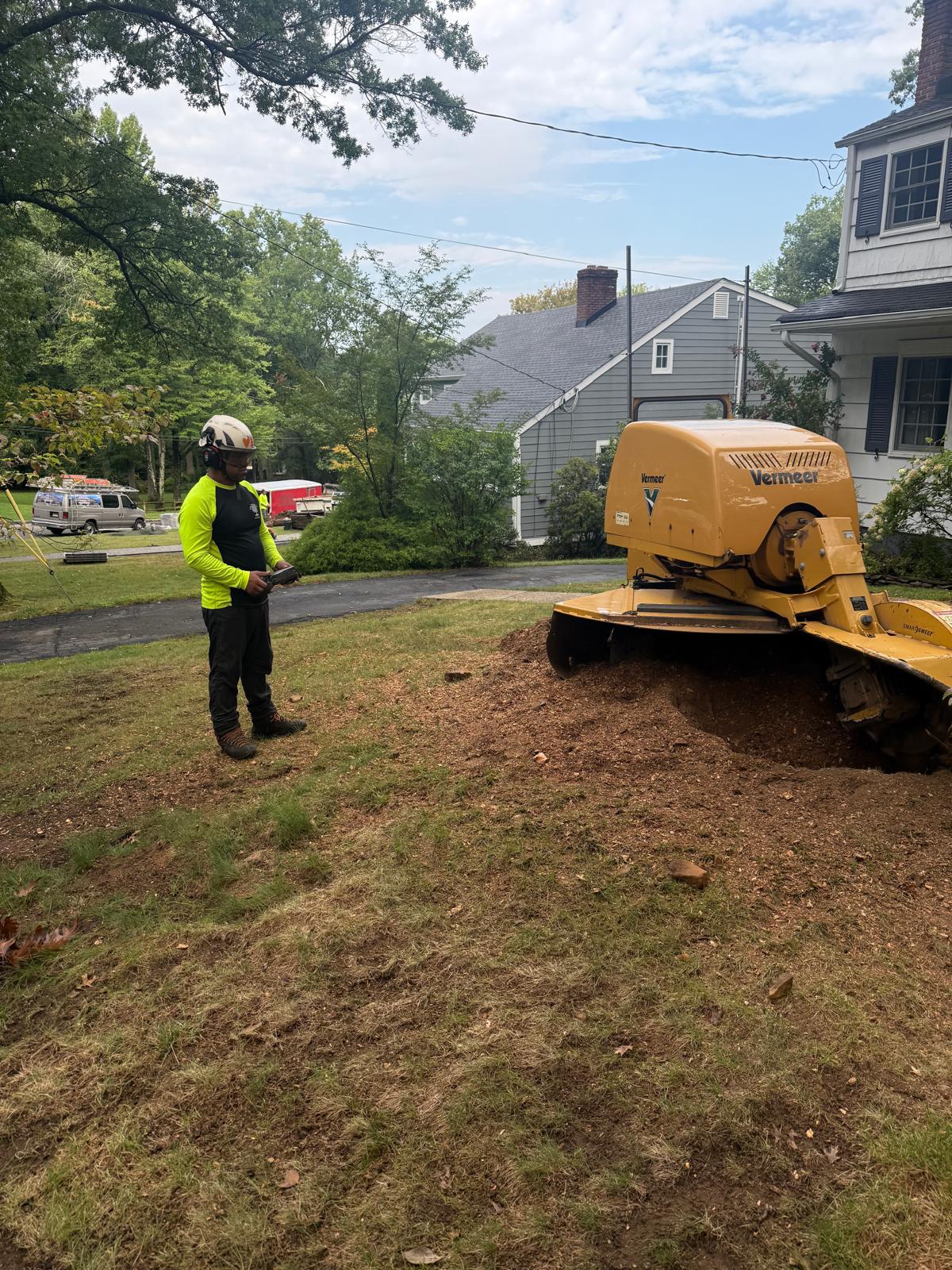 Stump Grinding